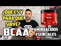 🔸 AMINOACIDOS ESENCIALES Y BCAA || ¿QUE SON Y PARA QUE SIRVEN? 🔸 AMINOACIDOS ESENCIALES Y BCAA || ¿QUE SON Y PARA QUE SIRVEN?