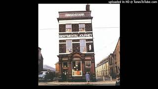 Ringo Starr - You Always Hurt The One You Love - Vinyl Rip