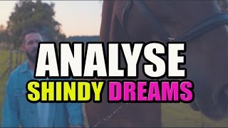 SHINDY: DREAMS - Literaturwissenschaftliche Analyse 110