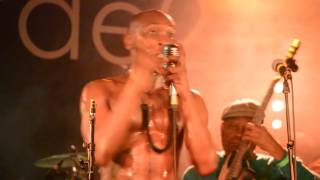Seun Kuti & Egypt 80 - "Theory Of Goat And Yam". Concorde 2, Brighton. Weds 22nd March, 2017