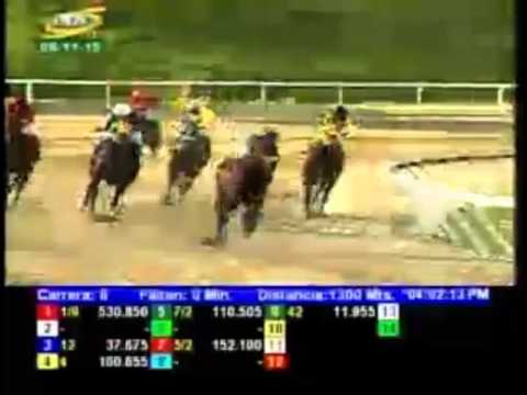 LA RINCONADA 8 CARRERA, DOMINGO 08 DE NOVIEMBRE DEL 2015