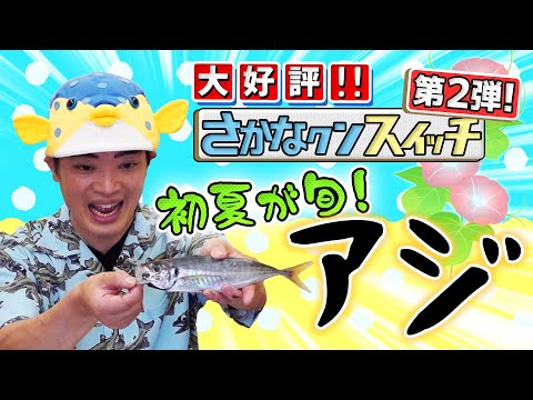 トラクルスについて詳しく解説