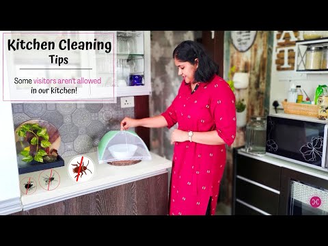 Do YOU wind up kitchen correctly after cooking? Sanitize sponge scrubbers / NO-ENTRY for Cockroaches