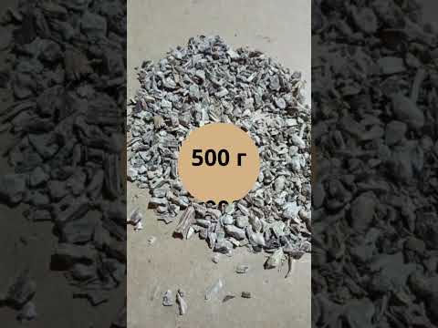 Девясил корень (1 кг) - фото 1 - id-p2497078133