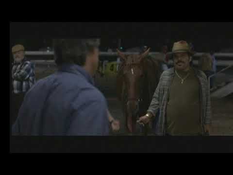 DREAMER: "Inspired by A True Story"