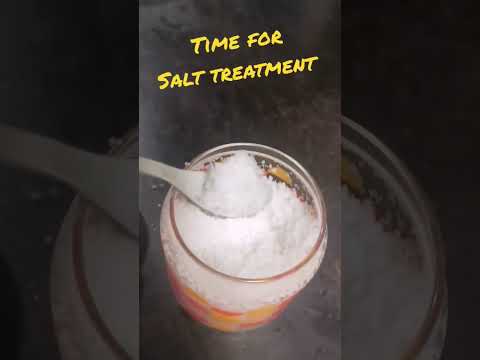 Koi Betta got ICH! Will 5day salt treatment work? #koibetta #ich #salttreatment #aquarium