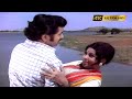 Adada Maamara Kiliye Song அடடா மாமர கிளியே பாடல் Chittu Kuruvi