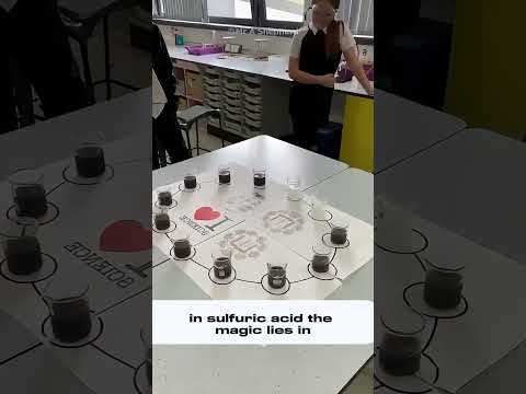 The Iodine Clock Reaction