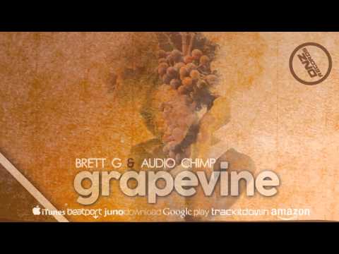 DNZF165 // BRETT G & AUDIO CHIMP - GRAPEVINE (Official Video DNZ RECORDS)