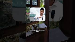 Download lagu Ngaji Gus Baha: Kemapanan Logika Kalimat Tauhid pada Orang Mukmin mp3