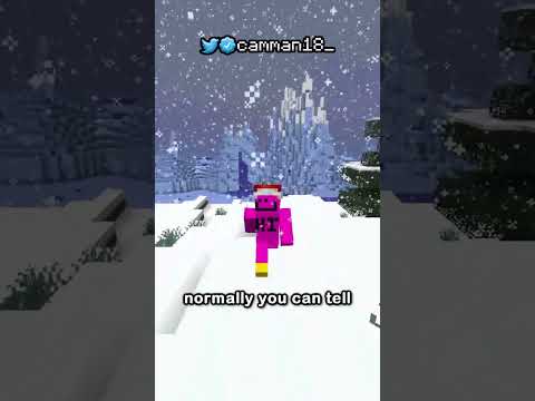 The Best Christmas Minecraft Tip.