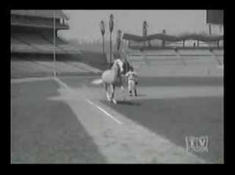 Mister Ed and the Dodgers