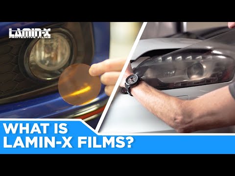 What is Lamin-x?