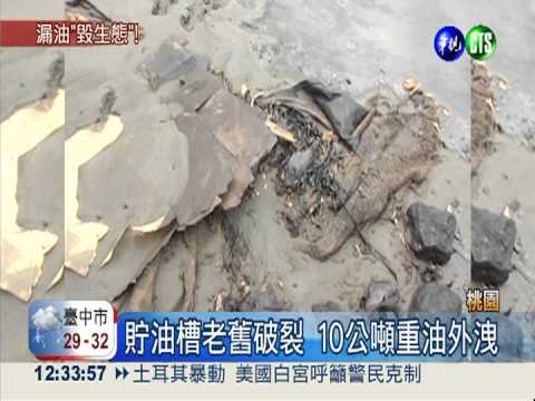油槽破裂重油外洩 藻礁岌岌可危