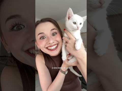 ¿Hembra o macho? Lo descubriréis al final del video jajajajaja. OS QUEREMOS, tesoros 🥹💖🐈🏡