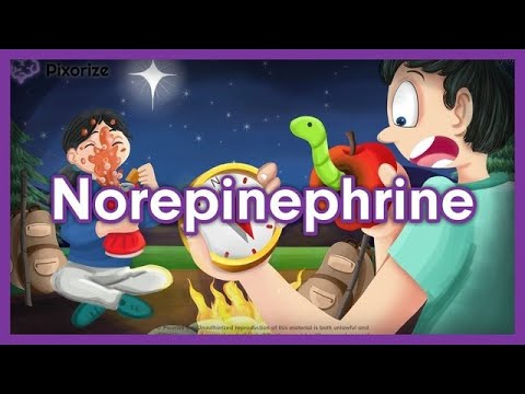 Norepinephrine Mnemonic for NCLEX | Nursing Pharmacology