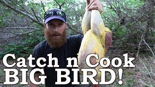 Catch and Cook GIANT Wild BIRD &amp; Mullberries! Ep04 | 100% WILD Food SURVIVAL Challenge!