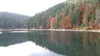 preview picture of video 'Sinevir Lake, Karpaty'