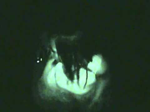 Soca Frenzy  "Pre-Carnival Summer Wear Fete" 13th August 2010