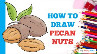 How to Draw Pecan Nuts in a Few Easy Steps: Drawing Tutorial for Beginner Artists