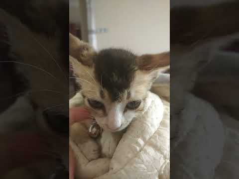 🥰🥰🥰❤️❤️❤️