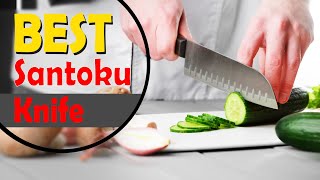 Best Santoku Knife in 2022 – According to Chefs!