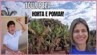 Atualização da HORTA\/POMAR\/deliciosa FAROFA DE ALMEIRÃO