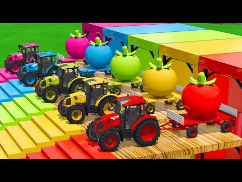 LOAD AND TRANSPORT GIANT TOMATOES WITH CLAAS TRACTORS & FORKLIFTS - Farming Simulator 25