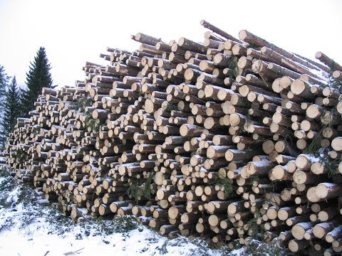 Metsolan Metsäkoulu 42, Kiertoajan kannattavuuspohdintaa