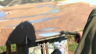 OIL SKETCHES: Peter Brown