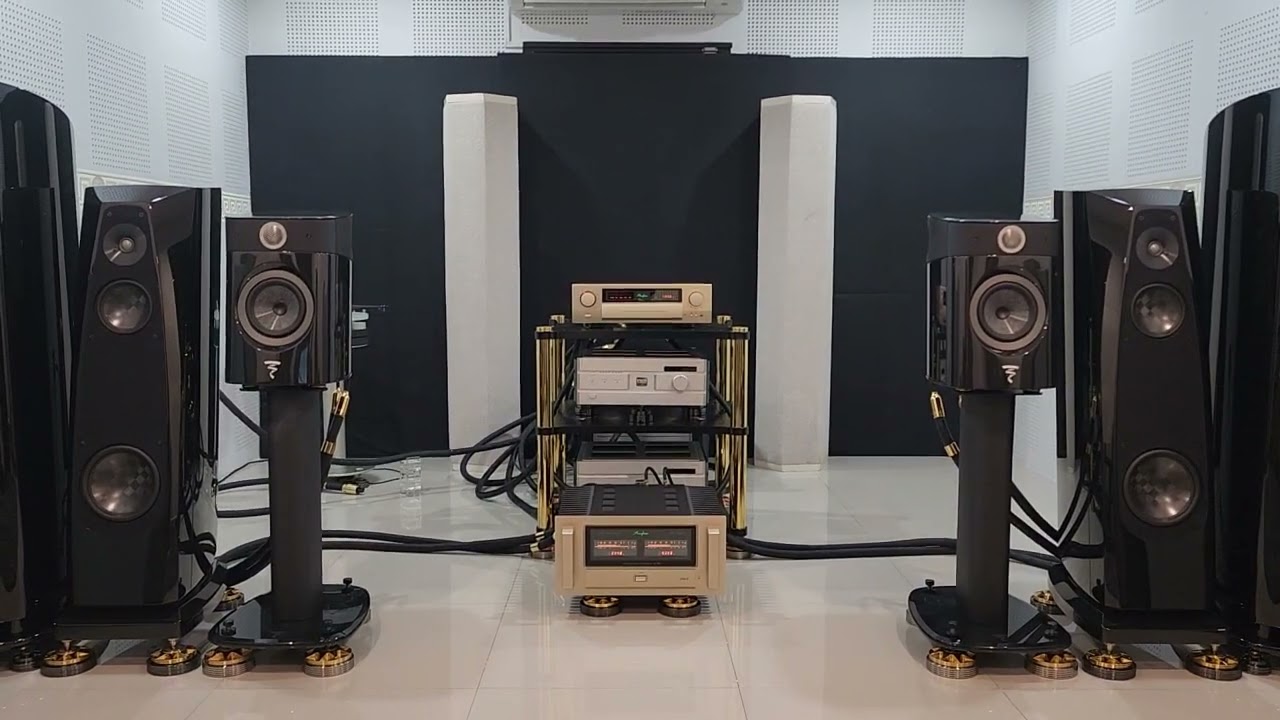 Focal Sopra N°1 × Accuphase C-2300 & A-80 × Evosolo A8 × Life Audio : Cables & Footer Plate
