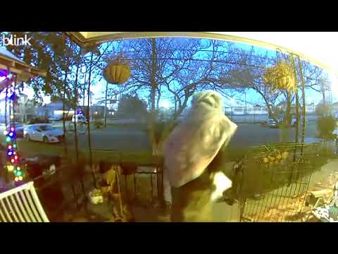 A-21644-25 (67) 4709 Baudin St