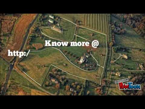 Aerial Wedding Photography