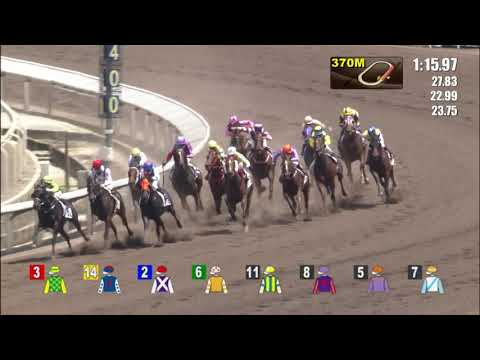 25/6/2022 (772) Blotting Paper - Z Purton