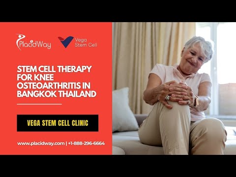 Logo of Alternative Treatment for Knee Osteoarthritis: Stem Cell Therapy for Hip Pain at Vega Clinic Bangkok