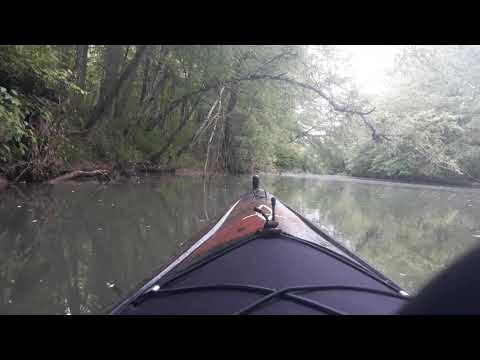 Upstream "Buzzard Roost Creek," AL