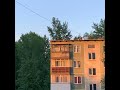 School Rooftop With Cicada Sounds Slowed Reverb