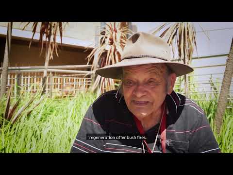 Happy 100th Uncle Wes Marne