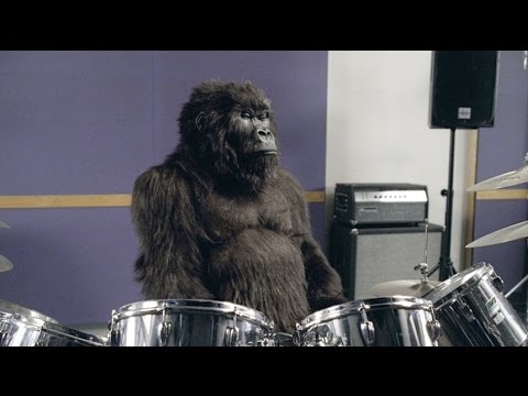 Cadbury's Gorilla Advert - Parody
