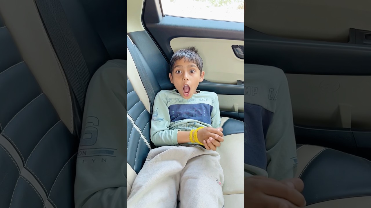 The Dog's Guide to Being a Good Boy (Sort Of) 1 The Dog’s Guide to Being a Good Boy (Sort Of)