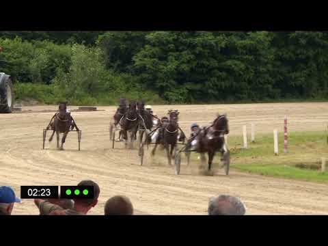 Memorial Makoter 2024 - Maugli & Joze Sagaj 1.14,3 2100m