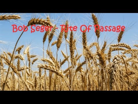 Rite of Passage video thumbnail