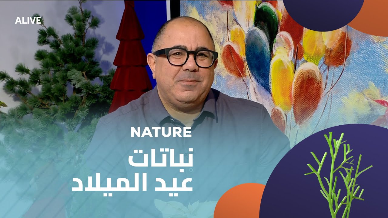 Nature - 20/12/2025 - نباتات عيد الميلاد