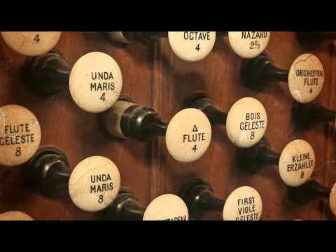 L'organo a canne - Video didattico (ITA)