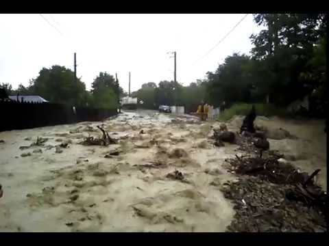 Brosteni drum blocat