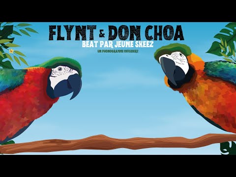 FLYNT & DON CHOA - "DE BONNE HUMEUR" (Vidéo Lyrics)
