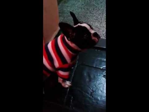 Narciso Gabriel el fachero !!