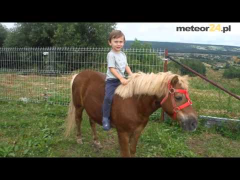 Agroturystyka Krajno Paradise - Krajno Pierwsze meteor24.pl