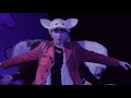 Video for Schaf 
