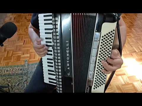 APRENDA E CONHEÇA OS RÍTMOS MAIS USADOS NOS BAIXOS DO ACORDEON